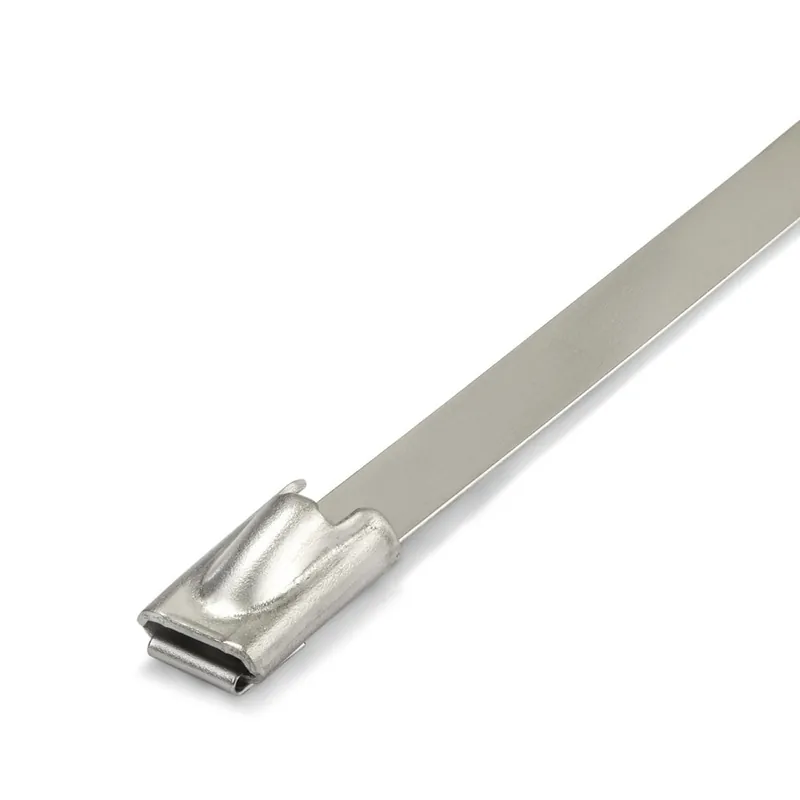 Aanbieding loopt bijna af - CSS20046 RVS Klemband Zelfsluitend 200 x 4,6 mm 100 stuks