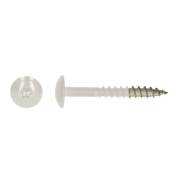 Premium | Kleurkopschroef 25mm Ral 9010